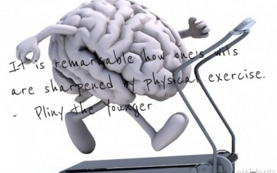 Fitness = Intelligence?